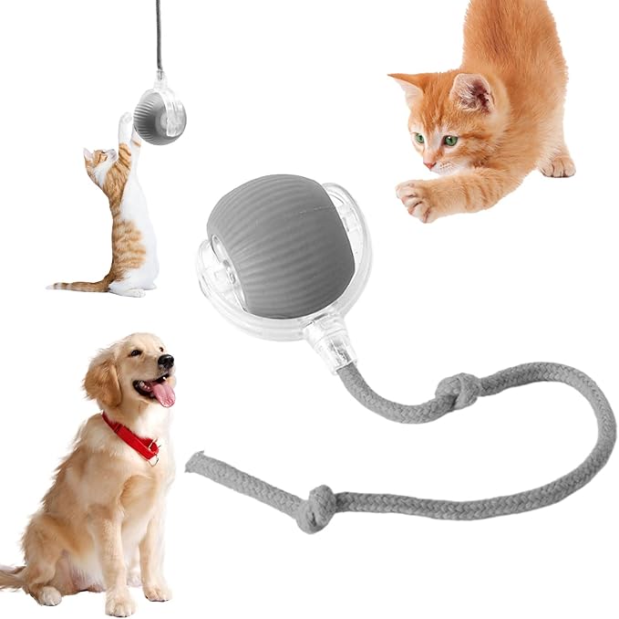 Chewie Viral Rolling Ball, Interactive Cat Toys Ball for Indoor, Cats Interactive Self Rolling Ball Dog Ball Automatic Cat Toy 360° Smart Automatic Rolling Pet Ball (Grey)