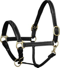Exion Leather Horse Halter with Fancy Stitching | Black & Brown Padded Halter with Brass Hardware | Quick-Release Snap | Adjustable Leather Halter – Cob, Full, Over, Pony Sizes