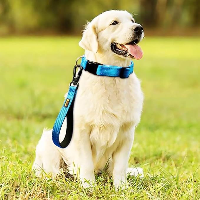 PLUTUS PET 10” Short Dog Leash, Reflective Nylon Padded Handle, Strong Traffic Leash with Carabiner Clip, Perfect for Large or Medium Dogs（10”，Blue
