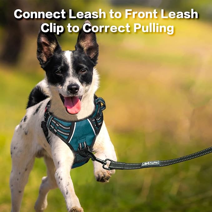 PoyPet No Pull Dog Harness, No Choke Front Clip Reflective Dog Vest with Soft Padded Vertical Handle, 3 Leash Attachments for Small Medium Large Dogs (Tumalo Teal,S)