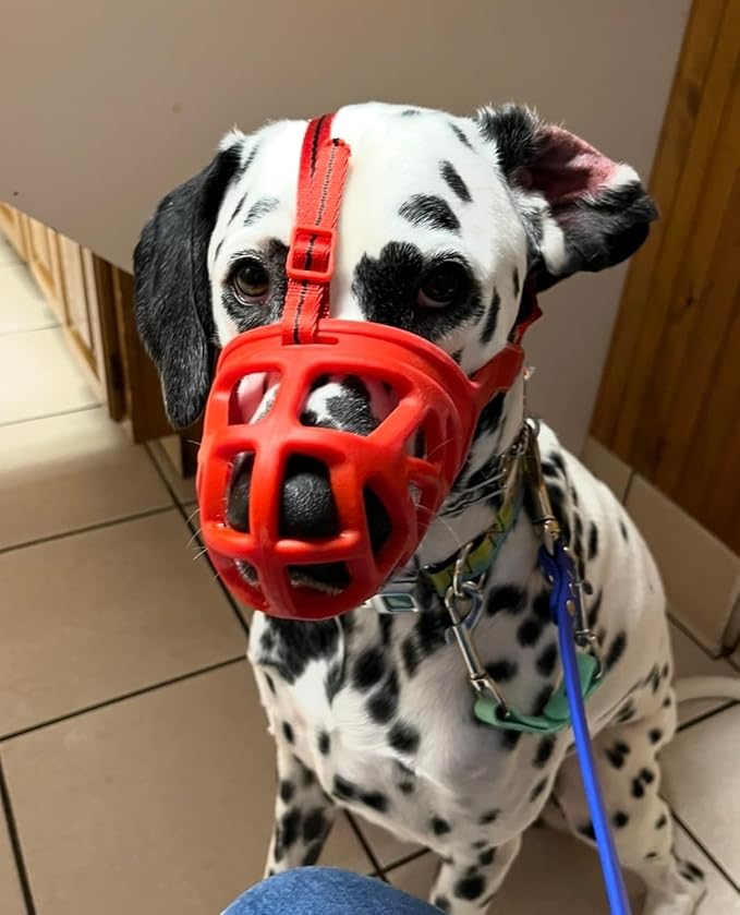 Mayerzon Dog Muzzle, Breathable Basket Muzzles for Small, Medium, Large and X-Large Aggressive Dogs Beagle German Shepherd Doberman, Cage Mouth Guard Stop Biting Chewing for Grooming Training