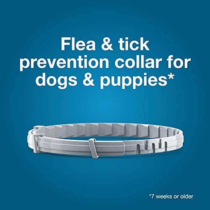 Seresto Small Dog Vet-Recommended Flea & Tick Treatment & Prevention Collar for Dogs Under 18 lbs. | 8 Months Protection