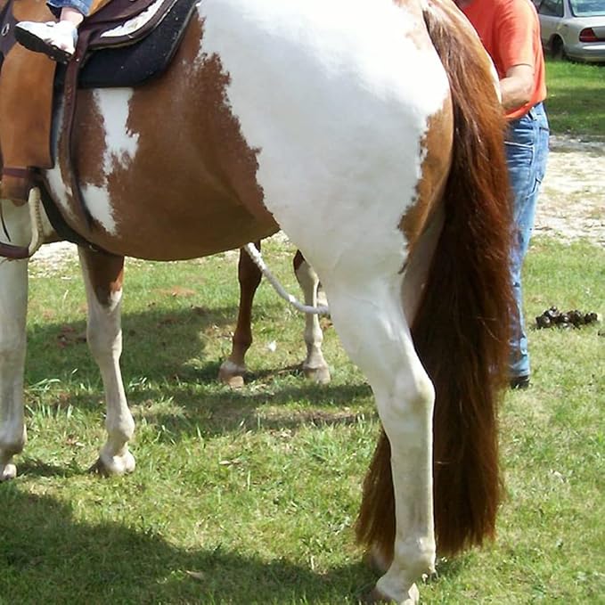 Horse Tail Extensions with Braided Horsehair Loop, Blunt Cut Bottom, 28-30 inches Long and 3/8 lb Weight