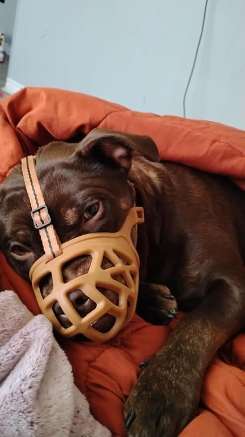 Mayerzon Dog Muzzle, Breathable Basket Muzzles for Small, Medium, Large and X-Large Aggressive Dogs Beagle German Shepherd Doberman, Cage Mouth Guard Stop Biting Chewing for Grooming Training
