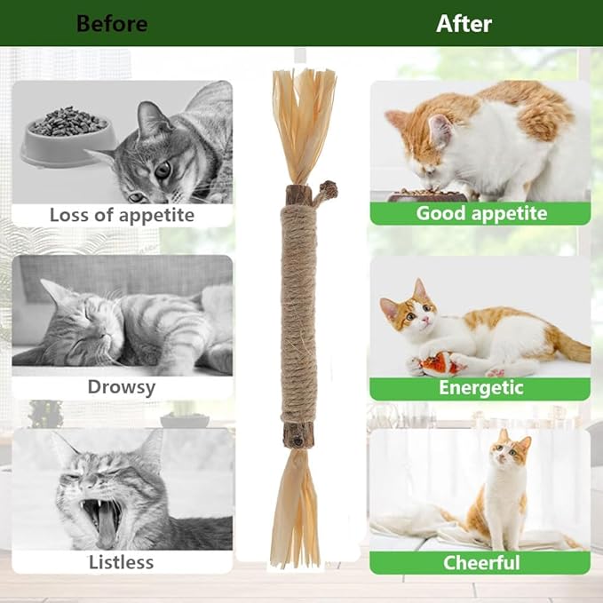3 PCS Silvervine Sticks for Cats - Natural Cat Chew Toys for Teeth Cleaning, Kitten Teething & Aggressive Chewers