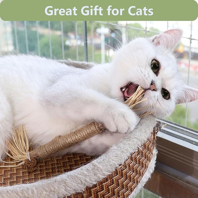 3 PCS Silvervine Sticks for Cats - Natural Cat Chew Toys for Teeth Cleaning, Kitten Teething & Aggressive Chewers