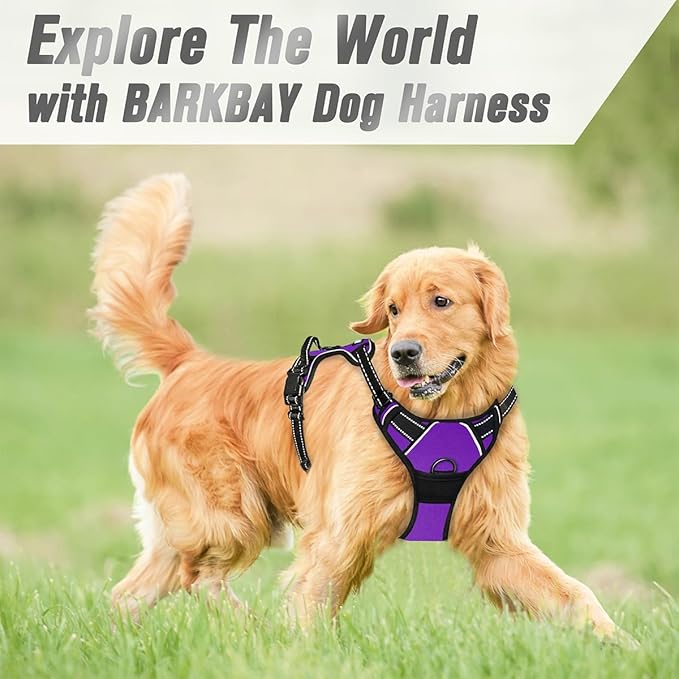 BARKBAY No Pull Dog Harness Front Clip Heavy Duty Reflective Easy Control Handle for Large Dog Walking(Purple,XL)