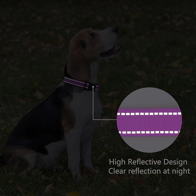Reflective Dog Collar Padded with Soft Neoprene Breathable Quick Release Basic Dog Collars for Puppy Small Dogs Dark Magenta