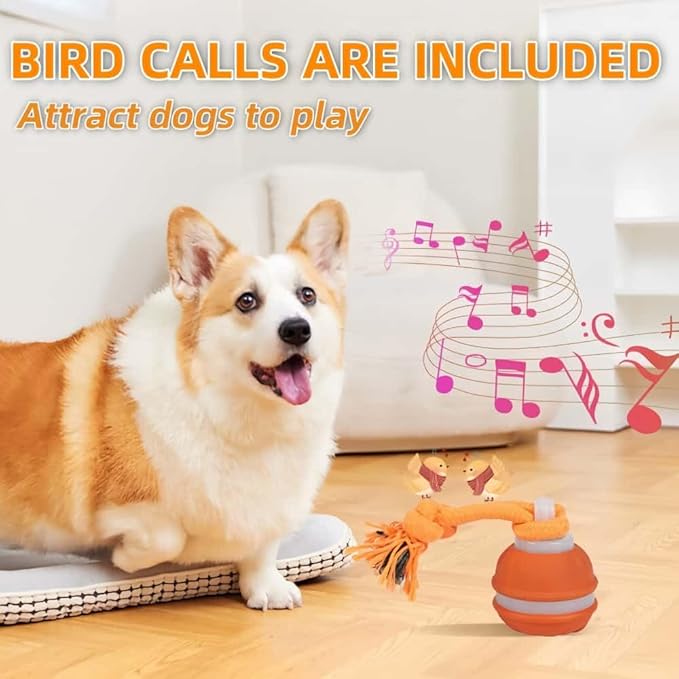 Interactive Dog Toys, Squeaky Dog Toys, Active Rolling Ball for Puppy and Medium Dogs, Squeaky, USB Rechargeable (Orange)