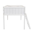 Low Loft Bed With Adjustable Ladder