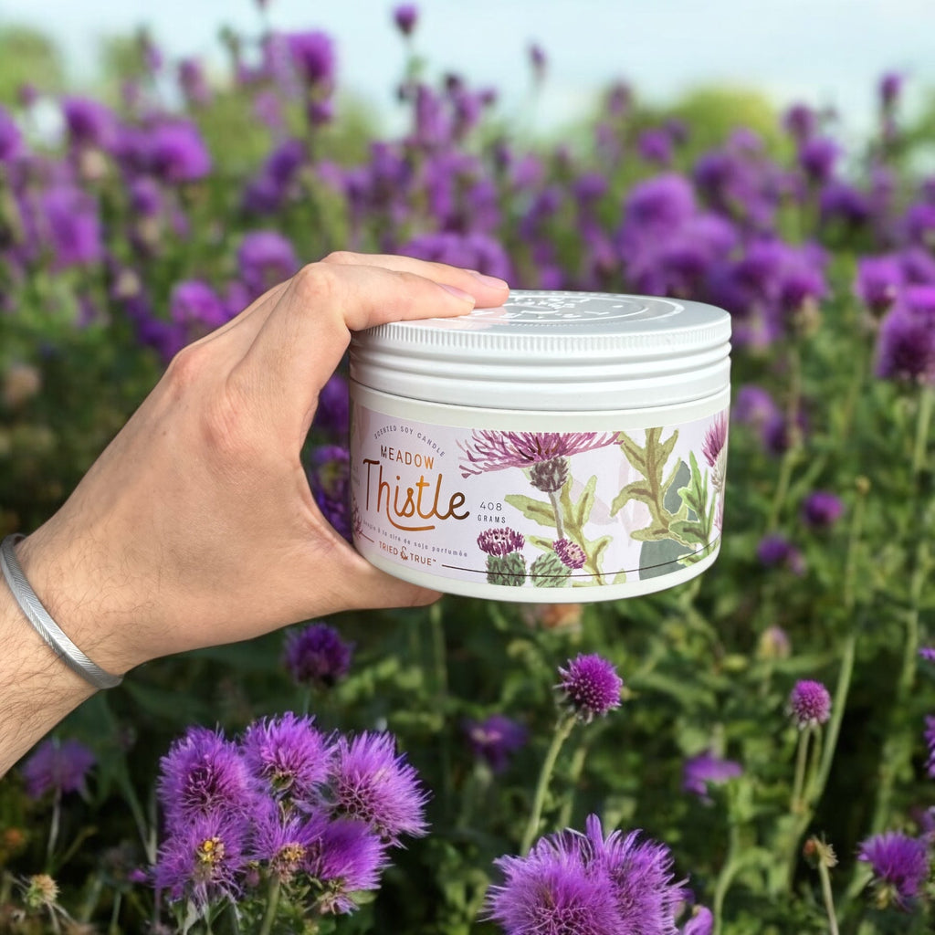 Meadow Thistle 3 Wick Soy Candle in Tin