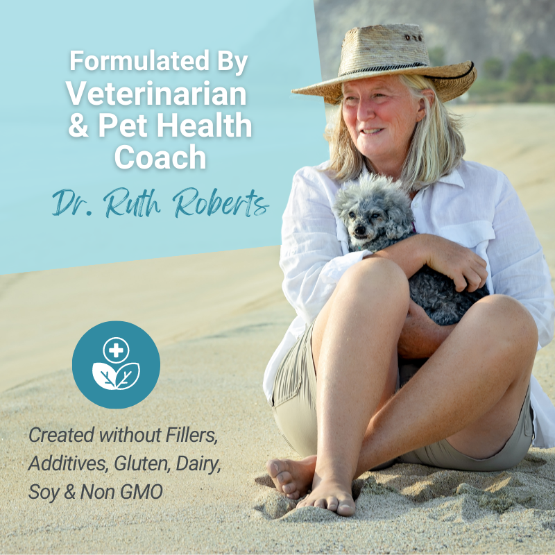 PRE-ORDER Hista Paws with Quercetin for Dogs and Cats