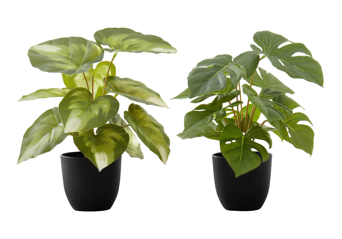 13" Tall Artificial Monstera and Calathea Plants, Set of 2