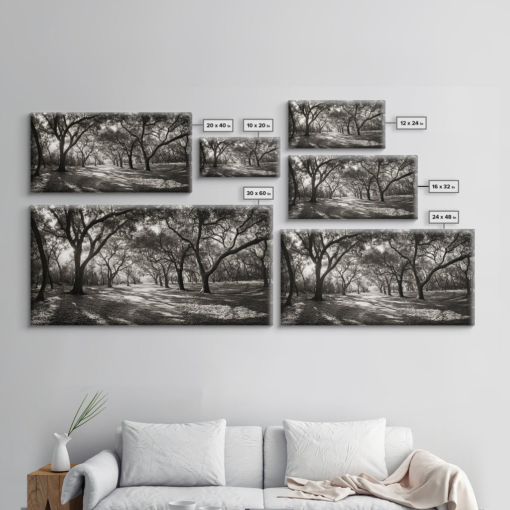 Oak Tree Path, Autumn Forest Glow, Nature Trail Photography, Framed Canvas Print, Hallway Wall Art, Earthy Decor, Woodland Art