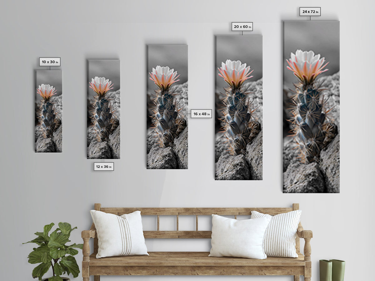 Cactus Bloom Desert Art Framed Canvas Print | Southwest Wall Art | Wildflower Painting | Botanical Prints | Boho Art | Nature Decor | Gift Idea
