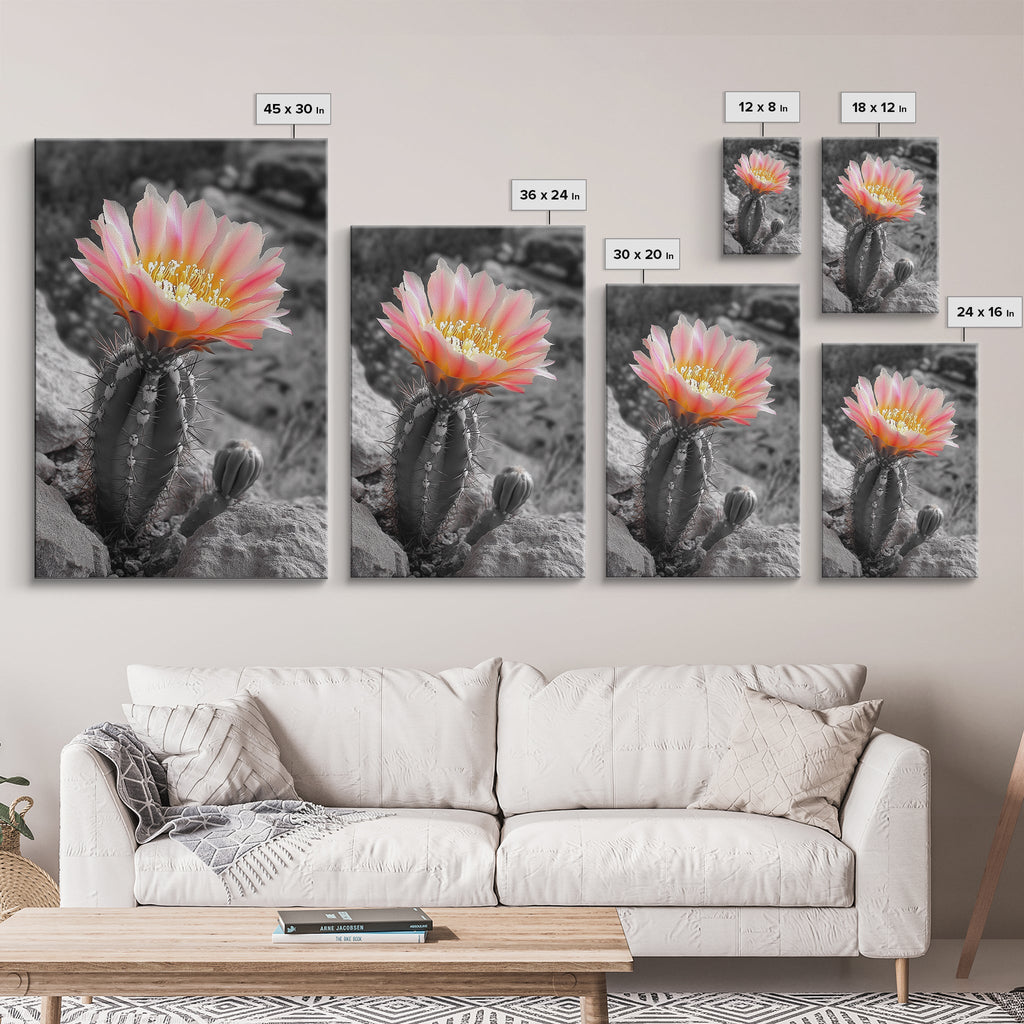 Blooming cactus, botanical print, desert flora, framed canvas print, nature decor, succulent wall art, pink flowers, southwest painting