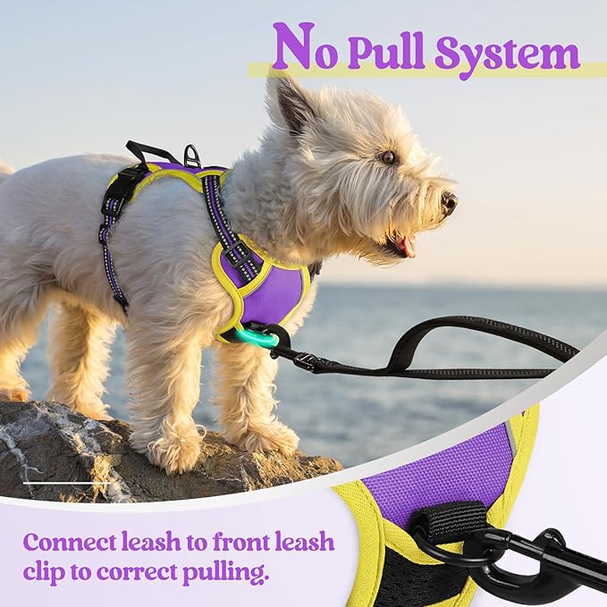 rabbitgoo Dog Harness No Pull with 2 Leash Clips, Adjustable Soft Padded, Reflective Oxford No Choke Pet Vest with Easy Control Handle for Puppy, Purple & Yellow, XS