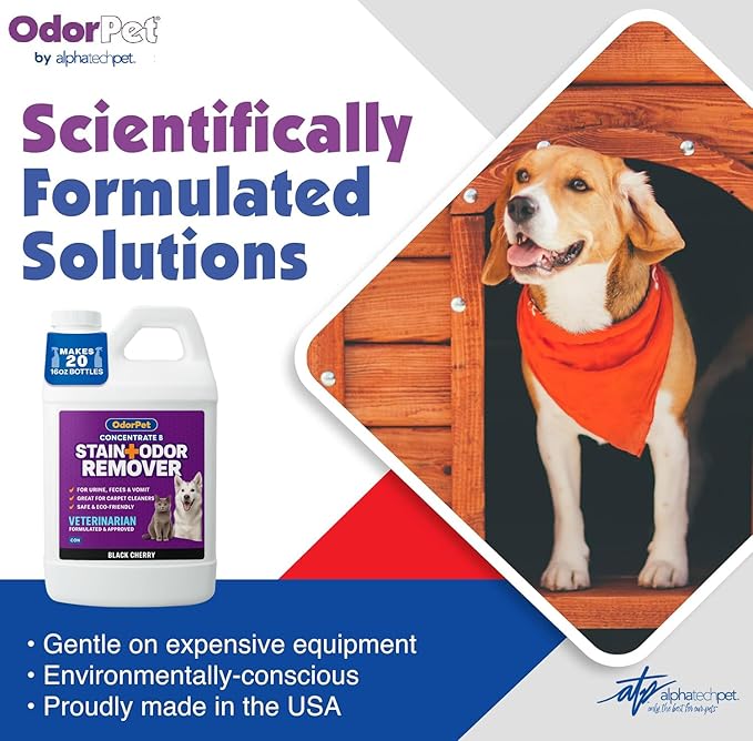 OdorPet Pet Stain Remover and Odor Eliminator - 64 Oz (Makes 2.55 Gallons of Working Solution) Non Staining, Professional Strength, Black Cherry Scent by Alpha Tech Pet