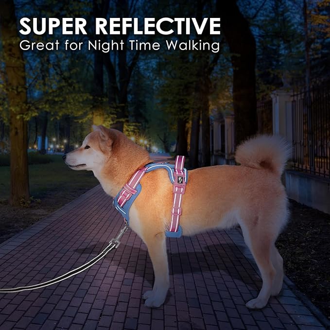 PHOEPET No Pull Dog Harness, Unique Colors Reflective Adjustable Dog Vest, with Soft Training Handle Metal Clips for Small Medium Large Dogs (Baby Blue Base & Pink Straps,M)