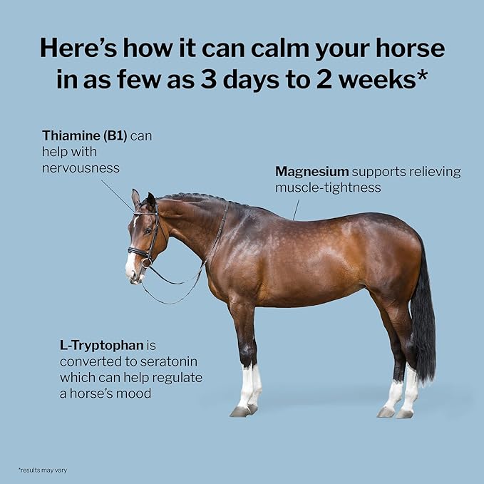 Formula 707 Calming Equine Supplement, Daily Fresh Packs – Anxiety Relief and Enhanced Focus for Horses – L-Tryptophan, Thiamine & Magnesium