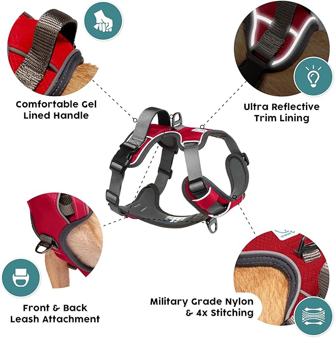 Embark Adventure Dog Harness, Reflective Trim No Pull Dog Harnesses for Small Sized Dogs - Military Grade Nylon, Front Clip with Gel Lined Handle. Soft & Padded Puppy