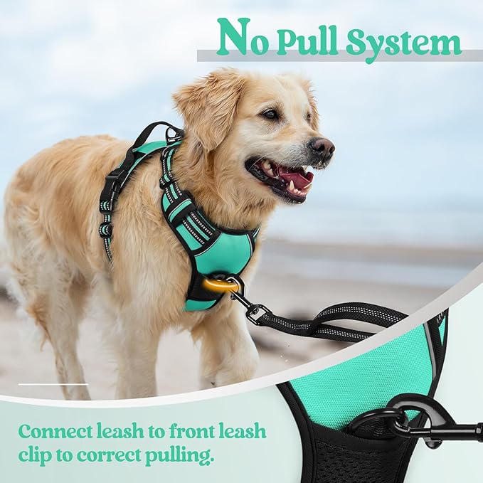 rabbitgoo Dog Harness No Pull with 2 Leash Clips, Adjustable Soft Padded, Reflective Oxford No Choke Pet Vest with Easy Control Handle for Large Dogs, Turquoise, L