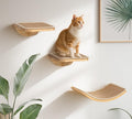 Cat Window Perches, Curved Cat Wall Sisal Mat Bed and 2 Floating Wall Steps, Wall Mounted Climbing Shelves for Sleeping, Playing, and Lounging