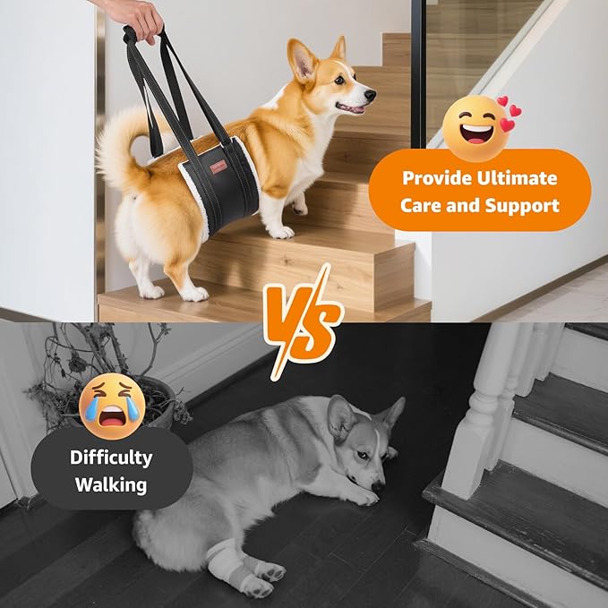 LOOBANI Portable Dog Sling for Back Legs, Hip Support Harness to Help Lift Dogs Rear for Canine Aid and Old K9 Cruciate Ligament Rehabilitation