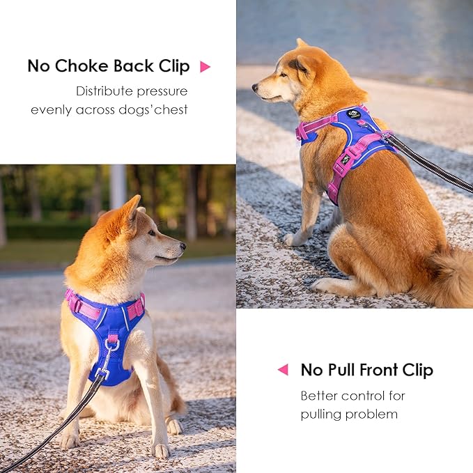 PHOEPET No Pull Dog Harness, Unique Colors Reflective Adjustable Dog Vest, with Soft Training Handle Metal Clips for Small Medium Large Dogs (Royal Blue Base & Pink Straps,M)