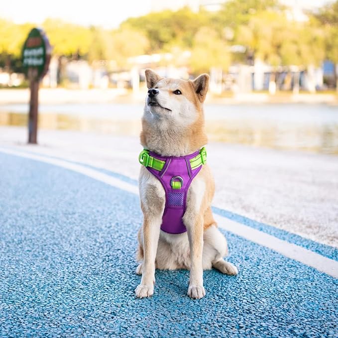 PHOEPET No Pull Dog Harness, Unique Colors Reflective Adjustable Dog Vest, with Soft Training Handle Metal Clips for Small Medium Large Dogs (Purple Base & Green Straps,M)