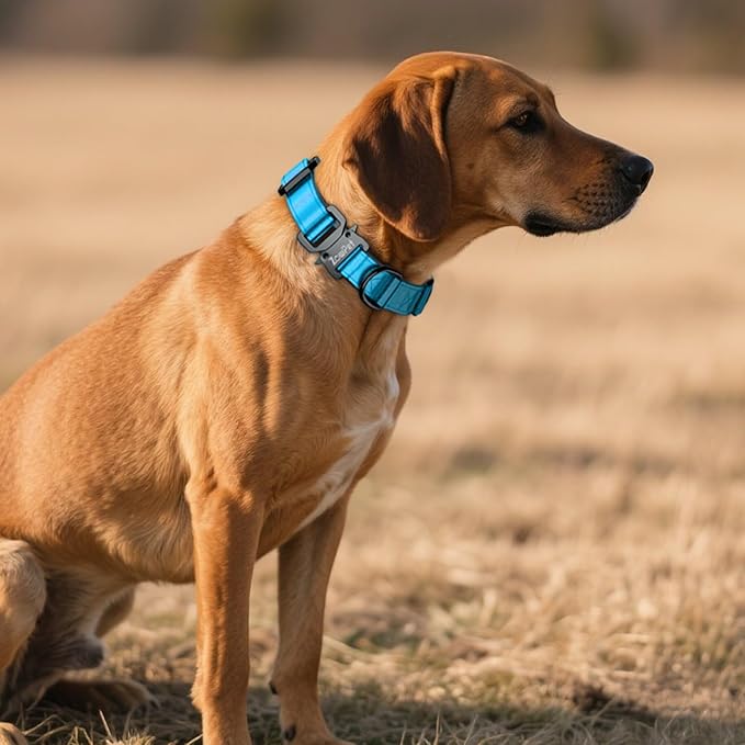 AirTag Dog Collar - Leather Dog Collar with Airtag Holder | IP68 Waterproof AirTag Holder with Metal Buckle, Comfortable GPS Dog Collars Tracker for Medium Large Dogs (Blue, L)