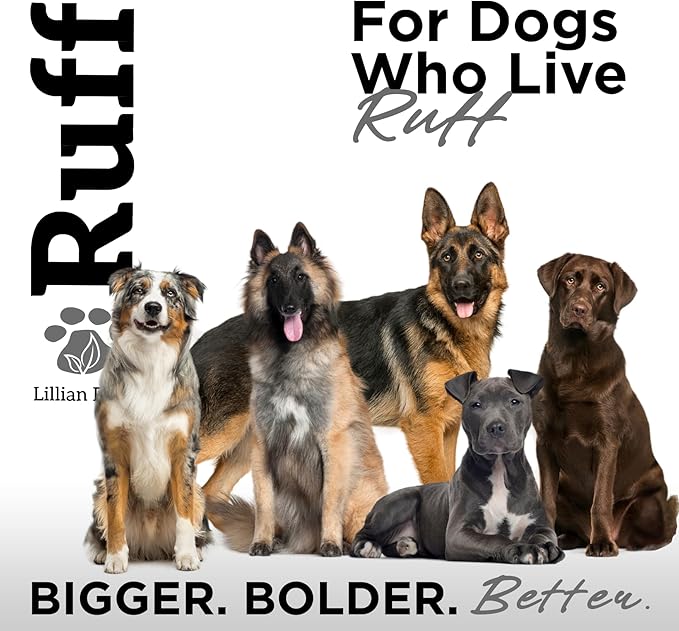 Ruff by Lillian Ruff Activated Charcoal Pet Shampoo – Deep Cleanser, Deodorizer, Stain Remover – Lemon Sage Scent, pH Balanced, Hydrate Dry Itchy Skin – Safe for Puppies & Mature Dogs
