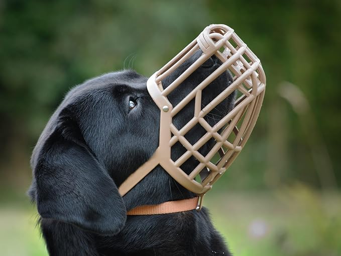 Leather Brothers Italian Basket Dog Muzzle, Adjustable Secure Fit, Comfortable Design, Training and Safety, Averts Biting, Prevents Chewing and Scavenging, Perfect for Grooming - Tan, Size 6