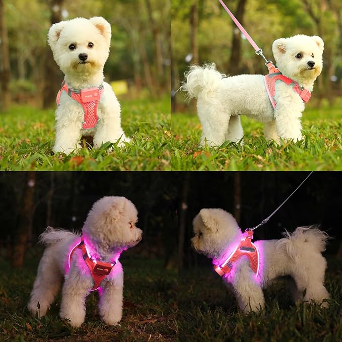 Light Up Dog Harness,Rechargeable LED Dog Harness for Small Medium Large Dogs,Reflective Lighted Safety Vest for Night Walking & Camping,Lightweight & Adjustable,Fluorescent Pink,S