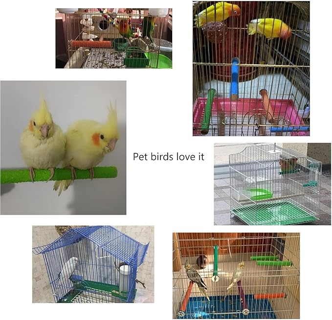 Hamiledyi Bird Perches for Cage Grinding Sand Bird Perches 8pcs Claw Trim Cage Perches Stand for Starlings, Parakeets Lovebirds Canaries Green Cheeked Conures (0.78 in Diameter)