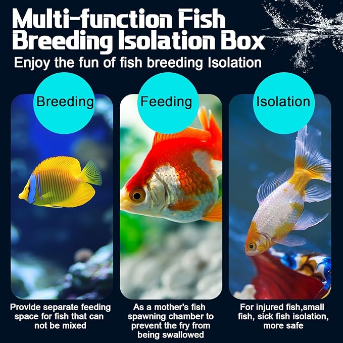 2 Pcs Breeder Box for Fish Tank Aquarium Breeder Separation Net Breeding Box with Suction Cup for Small Fish Shrimp Clownfish Guppy