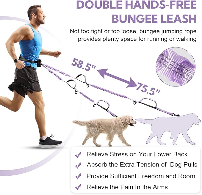 Hands Free Dog Leash, Adjustable Waist Belt with Double Padded Handles,Retractable Bungee, Waist Leash for Dog Walking,Running, No Pull,Purple