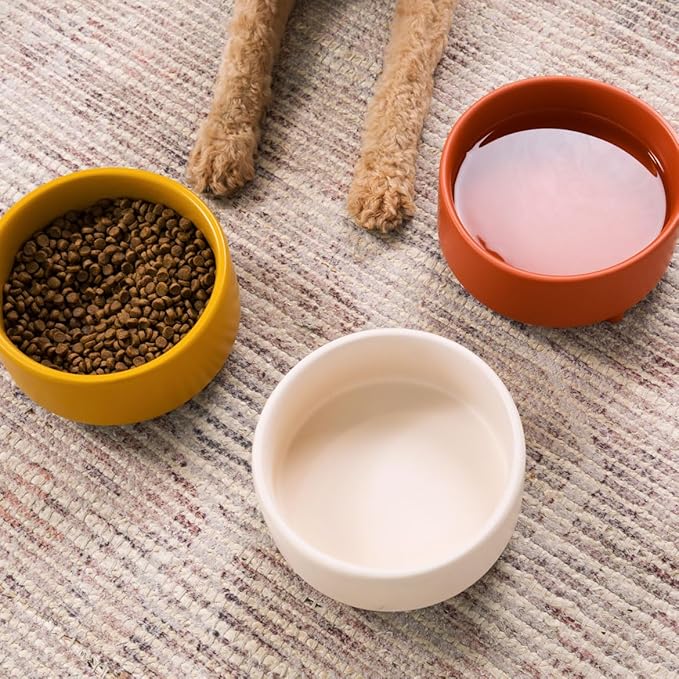 Waggo Uplift Ceramic Dog Bowl for Small Medium and Large Breeds - Heavyweight and Durable Pet Food and Water Dish Crock, Dishwasher Safe, Modern, Elevated Feeder (Small, Teracotta)