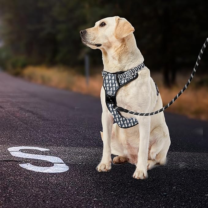 IVY&LANE No Pull Dog Harness with Leash Set, Reflective No Choke Pet Vest,Adjustable Oxford Dog Vest Harness with Easy Control Handle for Medium Dogs (Vintage Blue,M)