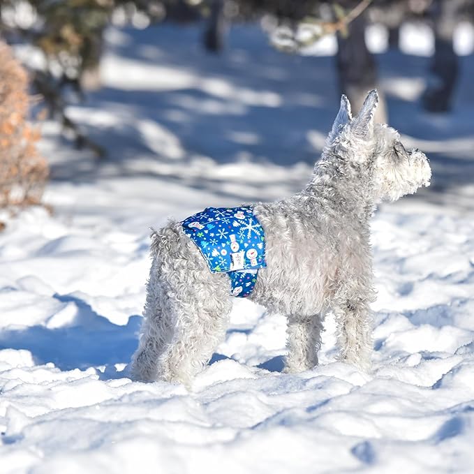 CuteBone Christmas Doggie Diapers for Male Dogs Medium Dog Diapers Male DM34M