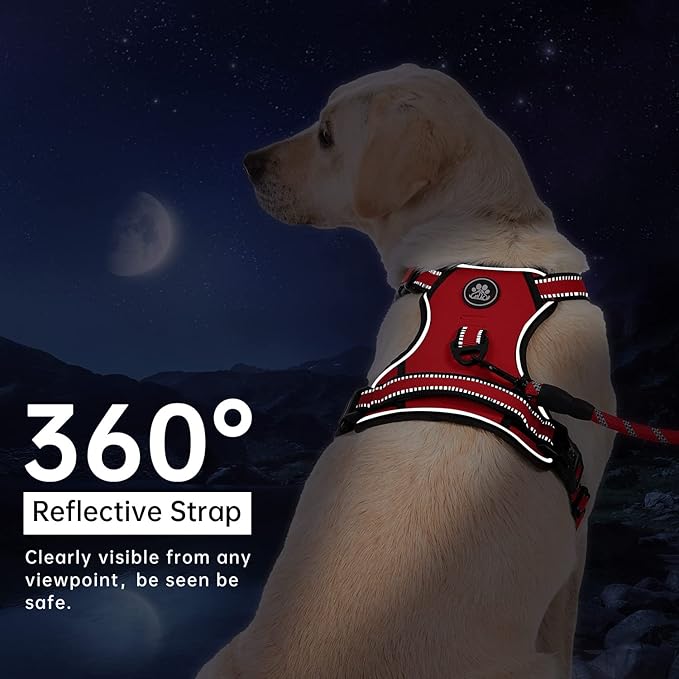 IVY&LANE No Pull Dog Harness for Medium Dogs, Dog Vest Harness with Leash, Safety Belt and Storage Strap, Fully Adjustable, 360 Reflective Strip, Soft Handle (Red, M)