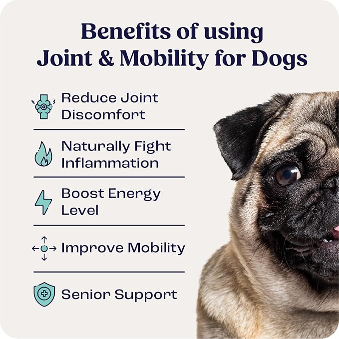 Summit Canine Joint and Mobility Supplement for Small Dogs, All Natural Liquid Chondroitin with Liposomal Delivery for Arthritis, Hip & Joint Support Vitamin, (Dogs <25lbs)