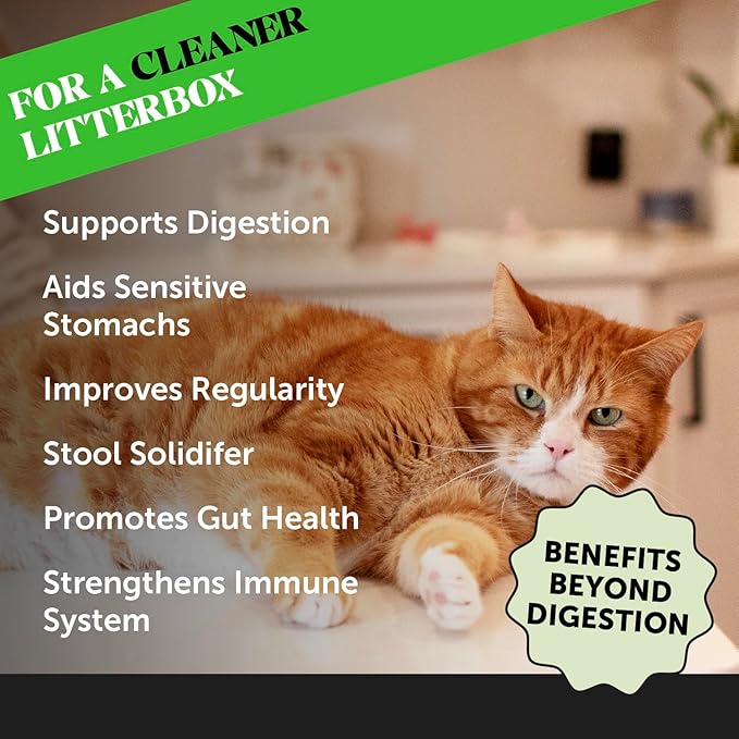 Digestive Probiotic Powder Supplement for Cats - Digestive Support + Gut Health, Probiotic for Cats, Cat Constipation Relief, Bowel Support, Immunity & Overall Health - 120 Scoops