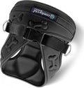 Comfort Fit Dog Harness No Pull with Leash Clips Step in Harness for Small Sized Dogs Soft Padded All Weather Dog Vest with Easy Control No Escape Adjustable Buckles for Dogs & Puppies – Black XS