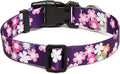 Mercano Adjustable Dog Collar - Special Design Patterns, Soft Nylon Comfortable Sturdy Pet Collar for Small Medium Large Dogs (XS, Floral Pink)