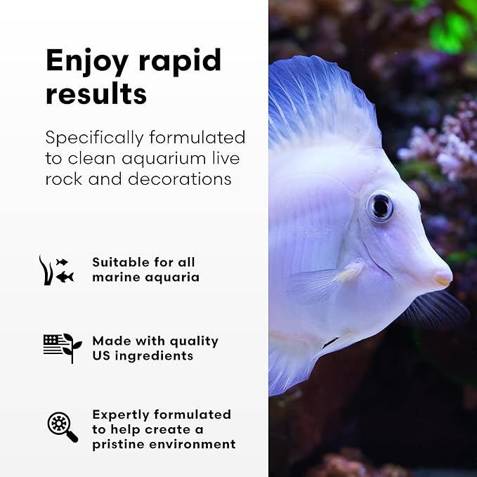 Brightwell Aquatics MicroBacter Clean - Microbial Culture & Enzyme Blend Fish Tank Cleaner - Cleans Live Rock Surfaces for Saltwater Fish Habitats - Aquarium Water Treatments, 16.9 fl oz