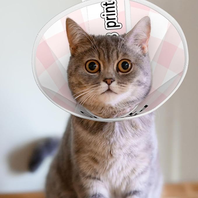 Custom Cats Recovery Suit Kit Lick Prevention Pet Recovery Collar for Wound Care Pet Cone Alternative
