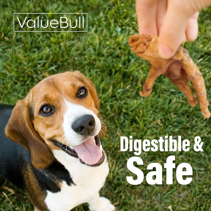 ValueBull Chicken Feet for Dogs, 100 Count Bulk Pack - All Natural Dog Chew, Hip and Joint Chew, Single Ingredient Dog Treat