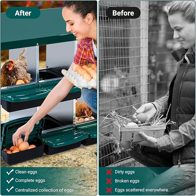 Nesting Boxes for Chickens, Chickens Laying Boxes for Chicken Coop, 10 Compartments Chicken Nesting Boxes, with Removable Tray, Easy Cleaning, for Hens Outdoor Chicken Coop Farm Yard, Green