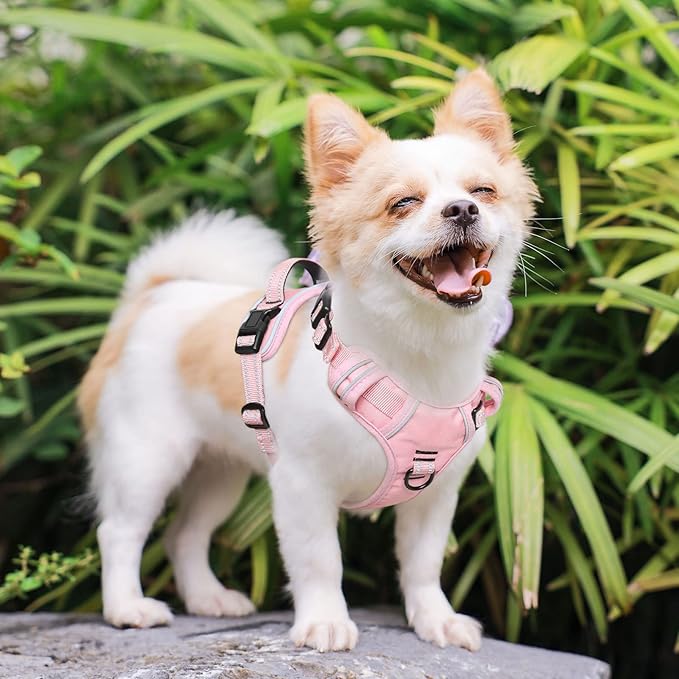Timos Dog Harness, 3 Snap Buckles No-Pull Soft Padded Dog Vest with 2 Metal Leash Clips, Adjustable Reflective No Choke Pet Harness with Easy Control Handle for Medium Dogs,Pale Pink,M